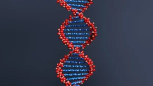 Ilustração de dupla hélice de DNA em vermelho e azul sobre fundo escuro, representando dados genéticos